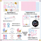 Baby Q Gender Reveal Decorations, Pink Blue Gingham BBQ Gender Reveal Decor - Image 5