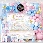 Twinkle Twinkle Little Star Gender Reveal Decorations, All-in-one Gender Reveal Decorations with Backdrop, Confetti Reveal Balloons Plates Napkins Balloon Arch, for Baby Gender Reveal Decorations by Unknown