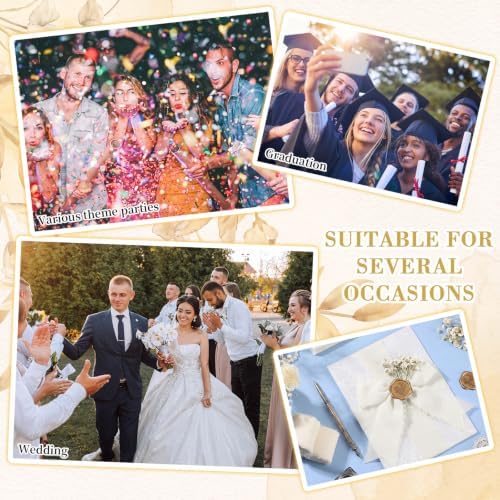 Fuyoooo 100 Set Wedding Invitations Wraps Set Pre Folded Vellum Jackets for 5 x 7 Invitations Self Adhesive Wax Seal Stickers Dried Baby's Breath Chiffon Silk Ribbon for Craft DIY (Rose Style) - Image 6