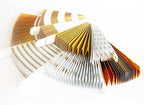 Party Decorations 8 Pcs Gold Paper Fans Set Graduation Birthday Baby Shower New Home Decoration Party DIY Decor - Image 6