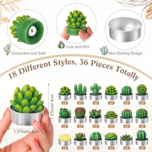 Mtlee 36 Sets Baby Shower Favors for Guest, Succulent Candle Bulk, Boho - Image 3