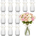 LemonRoad 12 Pcs Vintage Plastic Vases for Centerpieces Small Clear Flower Vase with Beige Ribbon for Farmhouse Wedding Housewarming Pink Birthday Party Favors Rustic Home Tabletop Decoration by Unknown