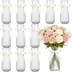 LemonRoad 12 Pcs Vintage Plastic Vases for Centerpieces Small Clear Flower Vase with Beige Ribbon for Farmhouse Wedding Housewarming Pink Birthday Party Favors Rustic Home Tabletop Decoration by Unknown