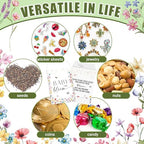 Reallnaive 96 Sets Baby in Bloom Baby Shower Party Favors Seed Packets - Image 6