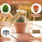 24 Pcs Succulent Candles Party Favors, Mini Tealight Candles for Wedding - Image 3