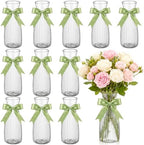 LemonRoad 12 Pcs Vintage Plastic Vases for Centerpieces Small Clear Flower Bud Vase with Sage Green Ribbon for Farmhouse Wedding Housewarming Birthday Party Rustic Home Tabletop Decoration by Unknown
