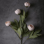 VIERENA 6 Pcs 27" Faux Silk Peony Artificial Flowers Stems for Vase (Beige) - Image 2