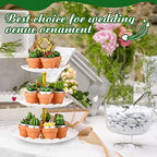 Lounsweer 84 Pcs Succulent Tealight Candles Bulk Novelty Decorative Cactus Candles Wedding Baby Shower Wedding Gifts with Mini Clay Holders for Birthday Party Home Mexican Party Favors (Novel) - Image 4