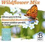 Bentley Oh Baby Wildflower Seed Packets, 25 Non-GMO Pre-Filled Favors for Baby Shower Guests, Wild Flower Party Gifts for Boys or Girls - Image 3
