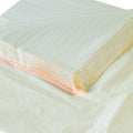 Aviditi Premium Tissue Paper Gift Wrap, 20" x 30", French Vanilla, Bulk Pack (480 Sheets per Case), Perfect for Gift Wrap, Holidays, Birthdays, Crafts, DIY Projects, and Decorations by Aviditi