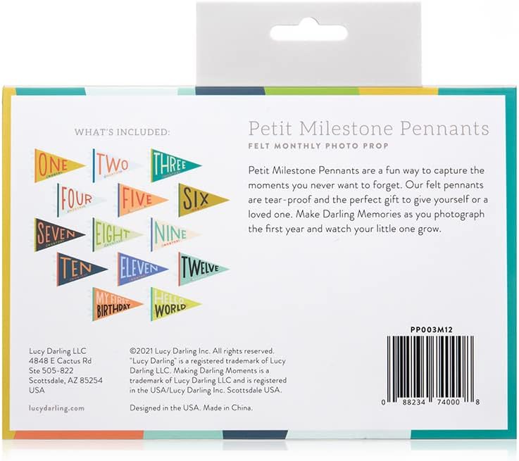 Lucy Darling Petit Milestone Pennants – Baby Monthly Milestone Pennant Flags – Newborn Photo Props & Felt Nursery Decor – Keepsake Banner Set for Baby Photos – Little Kaleidoscope - Image 3