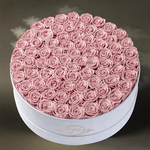 Prifroti 75 Preserved Roses in Suede Box – Luxury Rose Flower Arrangement, Preserved Flowers Gifts for Women, Wife or Mom – Birthday, Anniversary, Valentine’s Day, Mother's Day (Dusty Rose) - Image 6