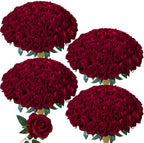 100 PCS Burgundy Roses Artificial Flowers, Fake Roses with Stem Realistic Silk Roses for DIY Wedding Bouquets Table Centerpieces Arrangement Baby Shower Birthday Home Decor Valentines Day Gift for Her by HyeFloraartificialflowers