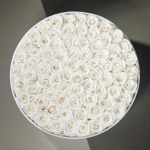 Prifroti 75 Preserved Roses in Suede Box – Luxury Rose Flower Arrangement, Preserved Flowers Gifts for Women, Wife or Mom – Birthday, Anniversary, Valentine’s Day, Mother's Day (White) - Image 4