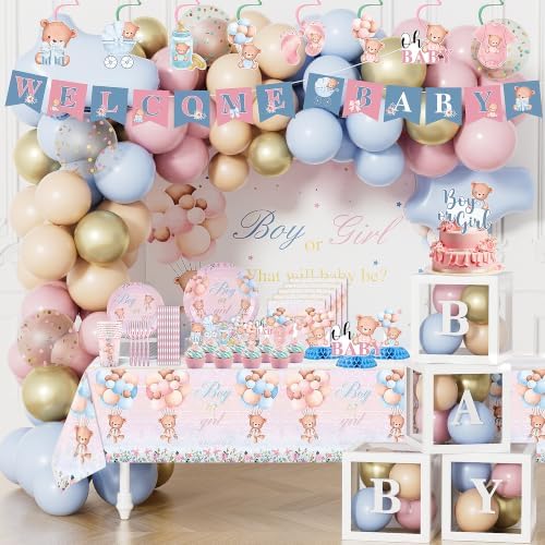 Baby Gender Reveal Decorations, 309pcs Boy or Girl Gender Reveal Decor Kit Backdrop Banner Plates Napkins, Pink and Blue Balloons Arch, Bear Baby Shower Decorations Party Supplies by Unknown