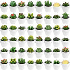 Shihanee 48 Pcs Bulk Succulent Candles Decorative Cactus Tealight Candles Handmade Mini Terracotta Clay Holders House Warming Wedding Baby Shower Spa Mexican Coworkers Teacher Birthday Gifts(White) - Image 6
