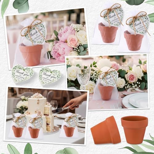 30 Terracotta Pot Sets, Greenery Party Favors for Guest Bulk - Image 6