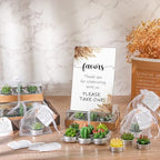 Mtlee 36 Sets Baby Shower Favors for Guest, Succulent Candle Bulk, Boho - Image 6