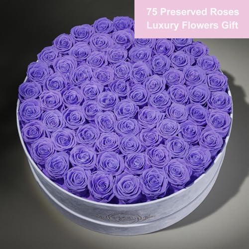 Prifroti 75 Preserved Roses in Suede Box – Luxury Rose Flower Arrangement, Preserved Flowers Gifts for Women, Wife or Mom – Birthday, Anniversary, Valentine’s Day, Mother's Day (Lavender) - Image 3