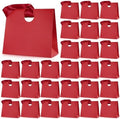 Feifeiya 30 Pcs Small Red Gift Bags with Ribbon Handle by Feifeiya
