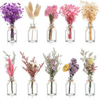 Nuanchu 10 Pcs Boho Wildflowers Dried Flowers Bouquet, 10 Glass Vase, Rope by Nuanchu