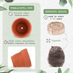 30 Terracotta Pot Sets, Greenery Party Favors for Guest Bulk - Image 3