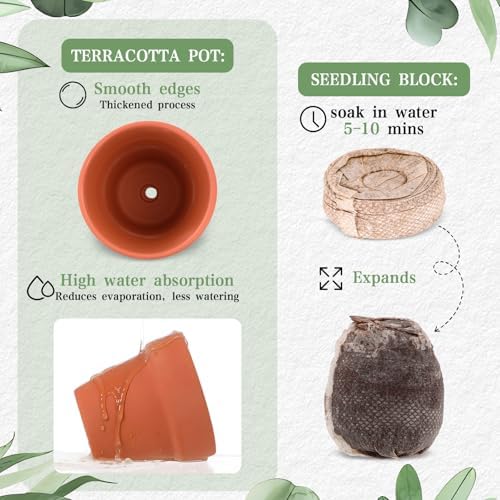 30 Terracotta Pot Sets, Greenery Party Favors for Guest Bulk - Image 3