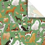 Jillson & Roberts 20" x 30" Printed Gift Tissue for Birthdays, Wine Bags, Weddings, Best in The Show Green, 48 Folded Sheets by JillsonRoberts