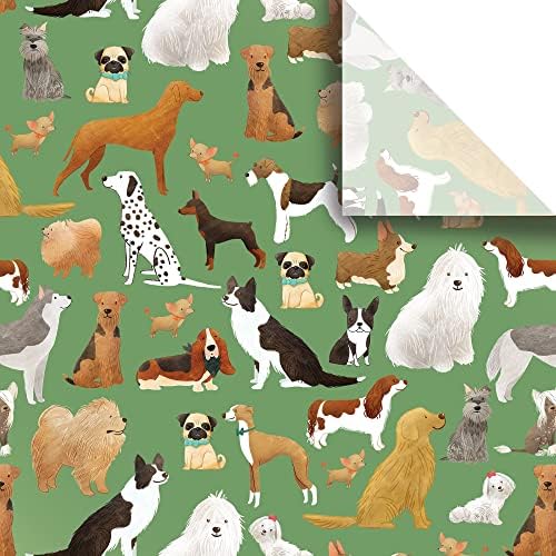 Jillson & Roberts 20" x 30" Printed Gift Tissue for Birthdays, Wine Bags, Weddings, Best in The Show Green, 48 Folded Sheets by JillsonRoberts