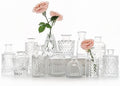 SUPMIND 12pcs Glass Bud Vase Set, Clear Small Flower Vases for Centerpieces by SUPMIND