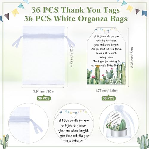Mtlee 36 Sets Baby Shower Favors for Guest, Succulent Candle Bulk, Cactus - Image 4