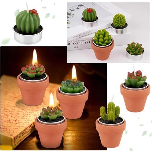 36 Pcs Succulent Cactus Candles Party Favors- Succulent Tealight Candles - Image 7
