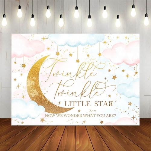 Twinkle Twinkle Little Star Gender Reveal Backdrop 10x7ft Pink or Blue How We Wonder What You are Gender Reveal Background Party Decoration Moon and Star Boy or Girl Banner - Image 4