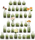 Set of 36 Glass Bud Vases Small Flower Vases for Centerpieces(Green) by JALANCY