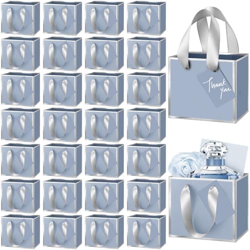 Yeaqee 100 Pcs Mini Metallic Paper Gift Bags with Handle, Dusty Blue, Silver by Yeaqee