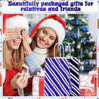 Humyoun 24 Pack Christmas Paper Gift Bags Bulk Assorted Sizes, White,Blue - Image 6