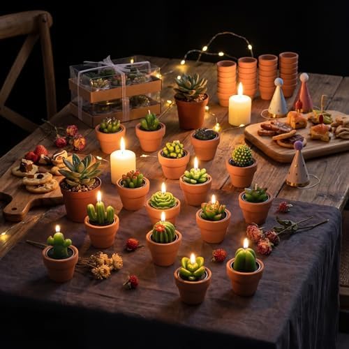 Shihanee 24 Pack Succulent Candles with Terracotta Pot Novelty Handmade Stylish Plant Candles Gifts for Baby Shower Birthday Wedding Party Favors Home Decor Valentine Gift - Image 3