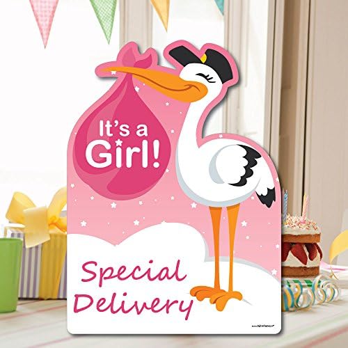 Big Dot of Happiness Girl Special Delivery - Baby Shower Decorations - Pink It's A Girl Stork Baby Announcement & Welcome Yard Sign - Image 5