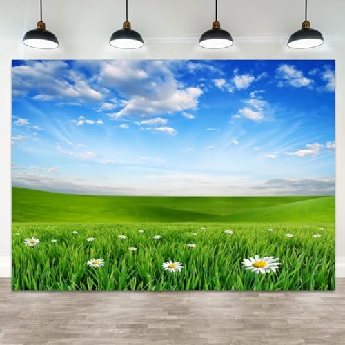 10x5ft Spring Backdrop Grassland Landscape Daisy Flowers Photography Background Green Grass Blue Sky Nature Scenery Kid Birthday Banner Decorations Baby Shower Portrait Photo Booth Prop by ASDCXZ