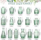 SUPMIND Glass Bud Vase Set, 16pcs Green Small Flower Vases for Centerpieces - Image 2