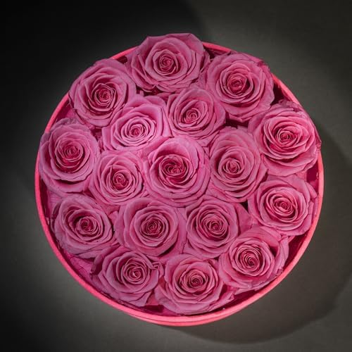 Prifroti 17 Flowers in a Velvet Pink Box, Birthday Gifts for Women, Preserved Flowers, Mothers Day Roses Gift for Mom, Pink - Image 4