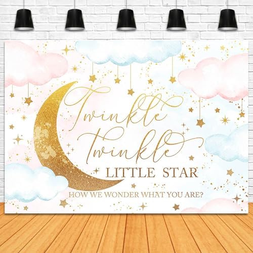 Twinkle Twinkle Little Star Gender Reveal Backdrop 10x7ft Pink or Blue How We Wonder What You are Gender Reveal Background Party Decoration Moon and Star Boy or Girl Banner - Image 3