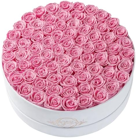 Prifroti 75 Preserved Roses in Suede Box – Luxury Rose Flower Arrangement, Preserved Flowers Gifts for Women, Wife or Mom – Birthday, Anniversary, Valentine’s Day, Mother's Day (Pink) by Prifroti