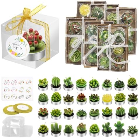 36 Pcs Succulent Candles Party Favors, Mini Cactus Tealight Candles Bulk by AZEAM