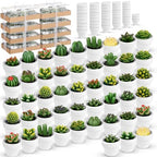 Shihanee 48 Pcs Bulk Succulent Candles Decorative Cactus Tealight Candles Handmade Mini Terracotta Clay Holders House Warming Wedding Baby Shower Spa Mexican Coworkers Teacher Birthday Gifts(White) by Shihanee