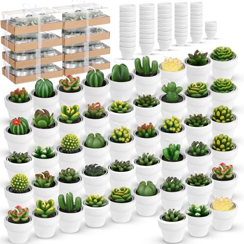 Shihanee 48 Pcs Bulk Succulent Candles Decorative Cactus Tealight Candles Handmade Mini Terracotta Clay Holders House Warming Wedding Baby Shower Spa Mexican Coworkers Teacher Birthday Gifts(White) by Shihanee