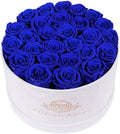 Prifroti 27 Flowers in a Luxury Suede Box, Birthday Gifts for Women, Preserved Flowers, Mothers Day Roses Gift for Mom, Royal Blue by Prifroti