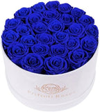 Prifroti 27 Flowers in a Luxury Suede Box, Birthday Gifts for Women, Preserved Flowers, Mothers Day Roses Gift for Mom, Royal Blue by Prifroti
