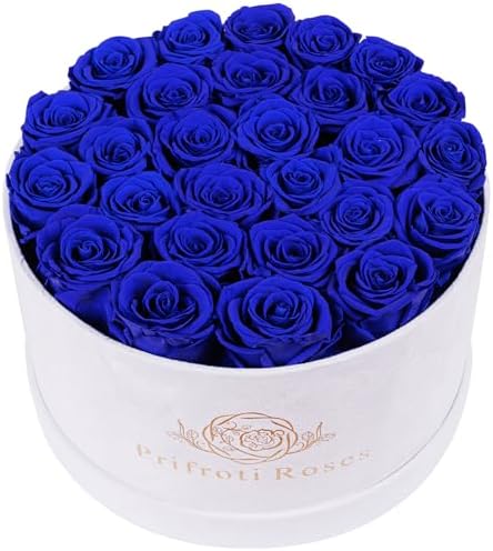 Prifroti 27 Flowers in a Luxury Suede Box, Birthday Gifts for Women, Preserved Flowers, Mothers Day Roses Gift for Mom, Royal Blue by Prifroti