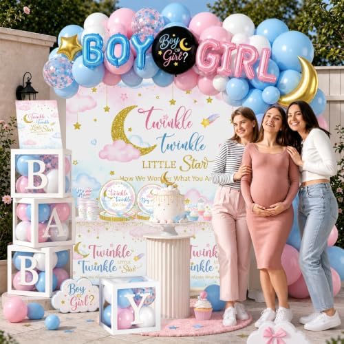 Twinkle Twinkle Little Star Gender Reveal Decorations, All-in-one Gender Reveal Decorations with Backdrop, Confetti Reveal Balloons Plates Napkins Balloon Arch, for Baby Gender Reveal Decorations - Image 4